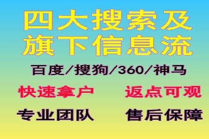 某公司如何通过SEM实现精准营销——从策略到执行的完整案例